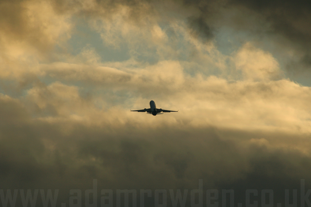 Photo of FedEx Express McDonnell Douglas MD 11F N591FE  cn 48527